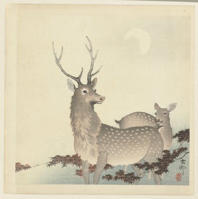 Two deer by Ohara Koson