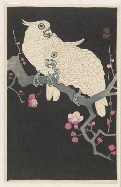 Two Cockatoos and Plum Blossom by Ohara Koson