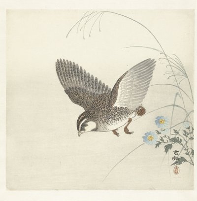 Flying Quail by Ohara Koson