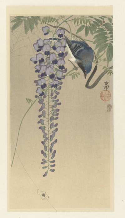 Flycatcher by Wisteria by Ohara Koson