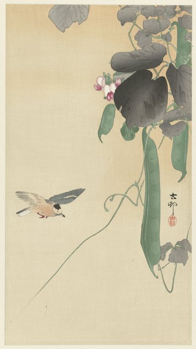 Bird by Blooming Bean Plant by Ohara Koson