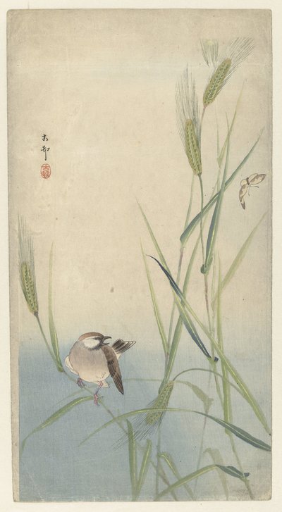 Bird and Butterfly by Ohara Koson