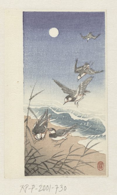 Birds by Full Moon by Ohara Koson