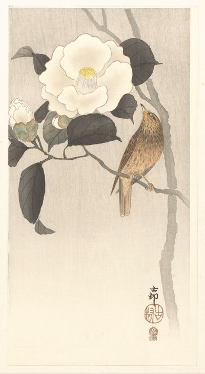 Songbird and Blooming Camellia by Ohara Koson