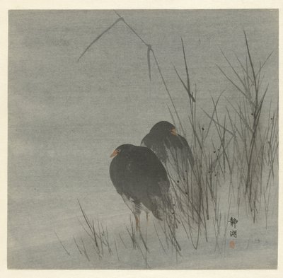 Two Coots Among Reeds by Okuhara Seiko