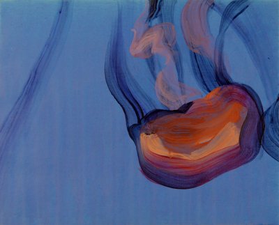 Jellyfish 5, 2013 by Olivier Morel