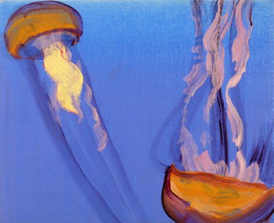 Jellyfish 7, 2013 by Olivier Morel