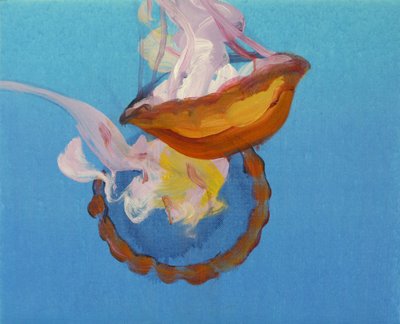 Jellyfish 9, 2013 by Olivier Morel