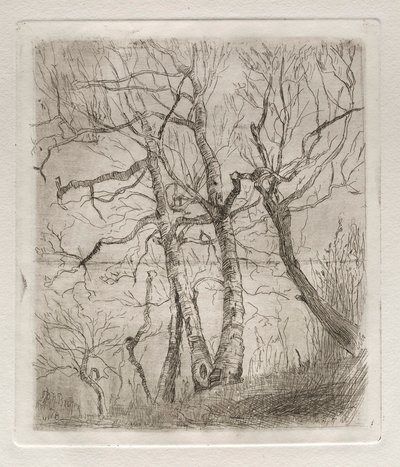 Trees by Otto H. Bacher