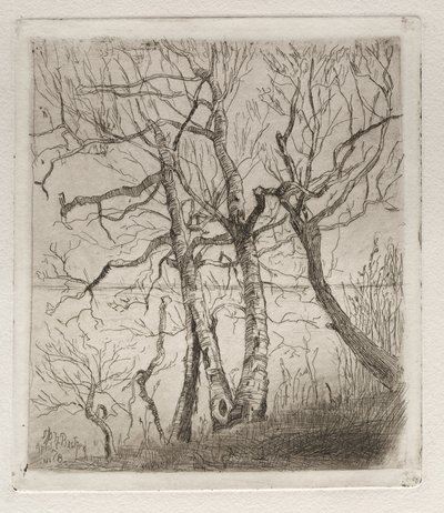 Woods by the Lake by Otto H. Bacher