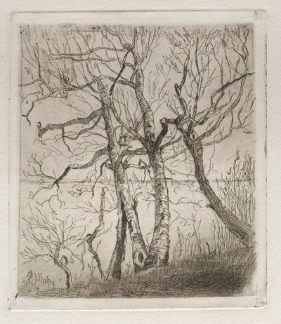 Woods by the Lake, 1878 by Otto H. Bacher
