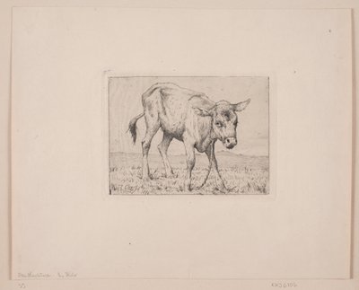 A Calf by Otto Haslund