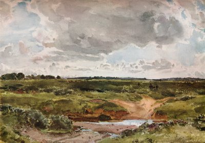 Southwold Common in August, c1889 by Otto Limited