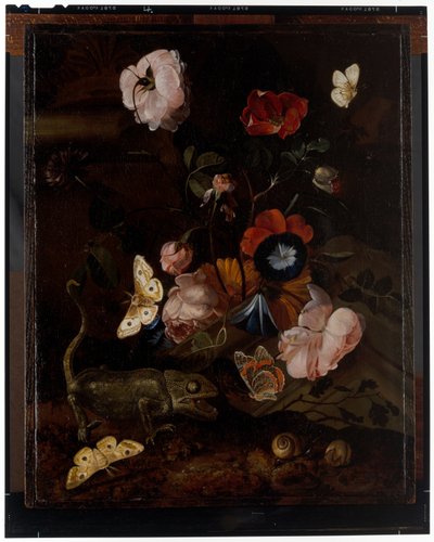 Forest Still Life by Otto Marseus  van Schrieck