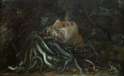 Head of Medusa by Otto Marseus  van Schrieck