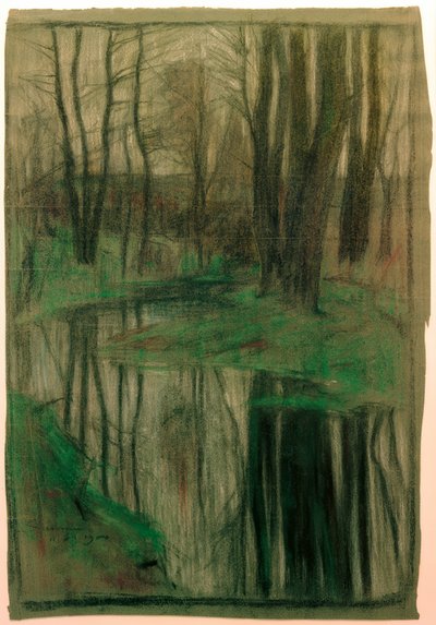 Riparian Forest (Sarnau) by Otto Ubbelohde