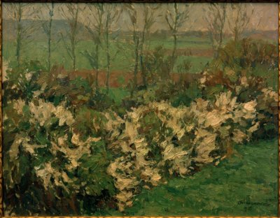 Hawthorn Hedge by Otto Ubbelohde