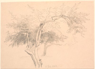 Study of Tree Tops by P.C. Skovgaard