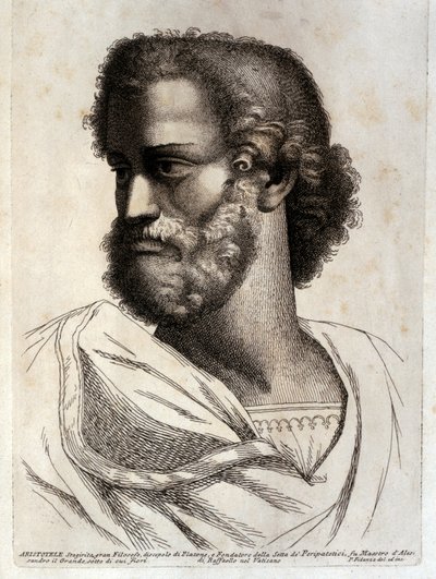 Aristotle by Paolo Fidanza