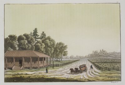 View of Capitol Hill, Washington by Paolo Fumagalli