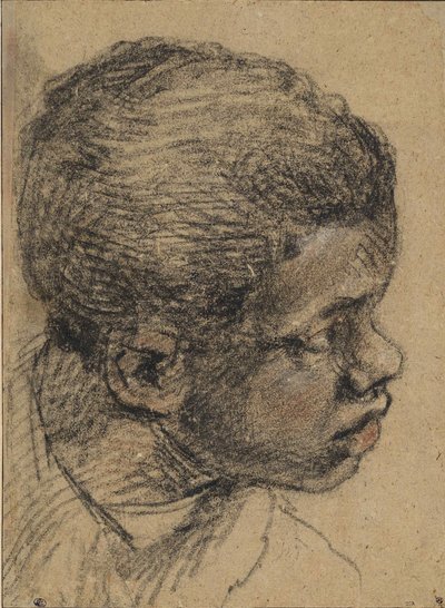 Head of a Black Boy, 16th Century by Paolo Veronese
