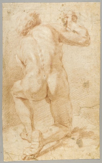 Drawing by Paolo de Matteis