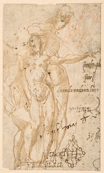 Study of three nude figures by Parmigianino