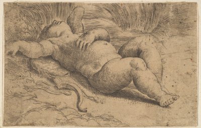 Cupid Sleeping by Parmigianino