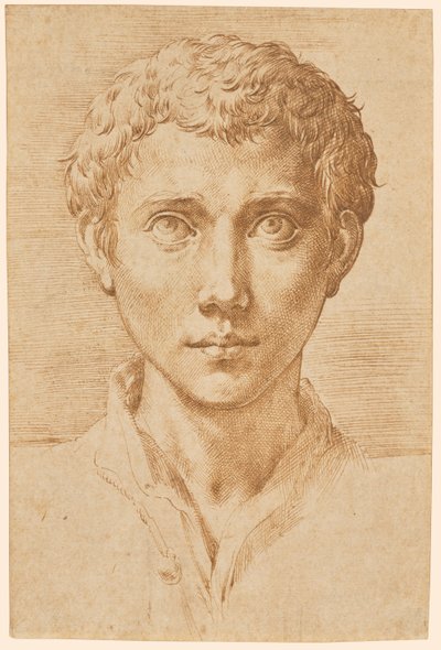 The Head of a Young Man by Parmigianino