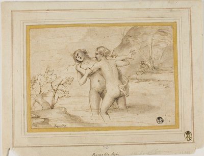 Salmacis and Hermaphroditus by Pasquale de