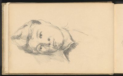 Madame Cézanne by Paul Cézanne