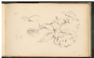Peonies by Paul Cézanne