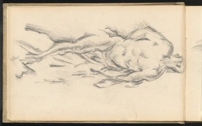 Study of Puget