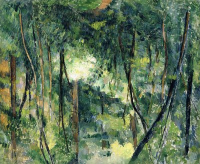 Undergrowth by Paul Cézanne