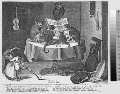 Concert of Owl, Cats, and Monkeys by Paul Fürst