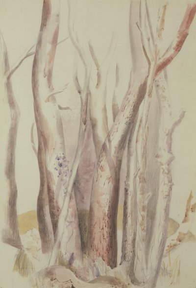 Study of a Wooded Landscape by Paul Nash