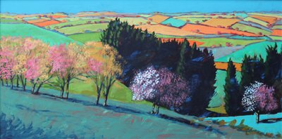 Teme Valley Blossom by Paul Powis
