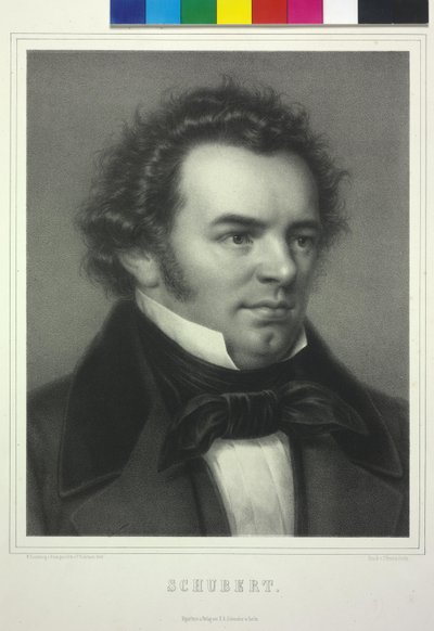 Schubert by Paul Rohrbach