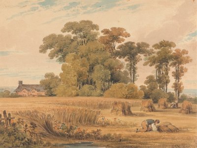 A Cornfield by Paul Sandby Munn