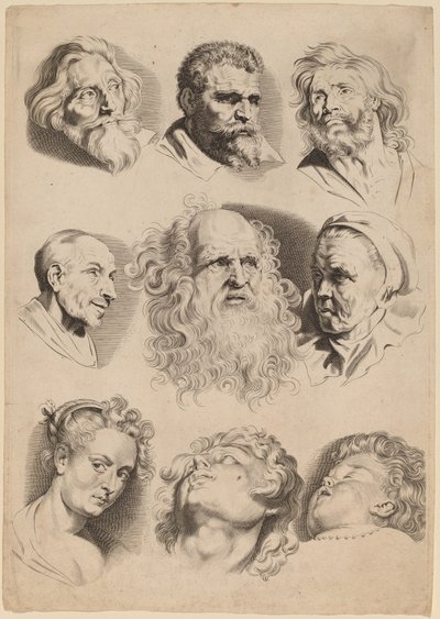 Nine Heads by Paulus Pontius after Sir Peter Paul Rubens