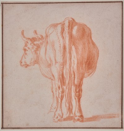 Cow by Paulus Potter