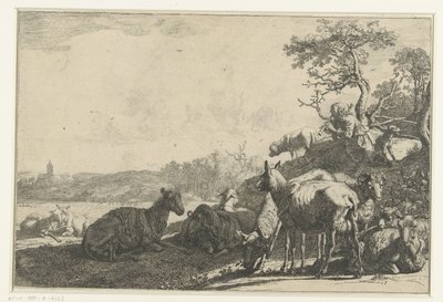 The Shepherd by Paulus Potter