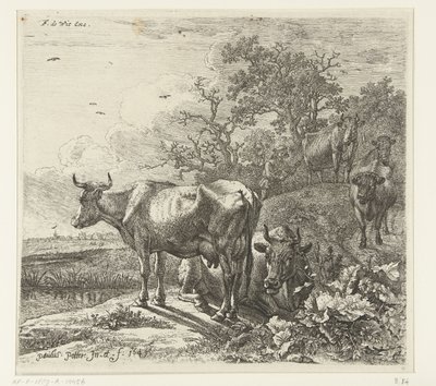 The Herdsman by Paulus Potter