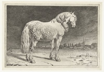 The Frisian Horse by Paulus Potter