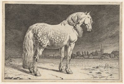 The Frisian Horse by Paulus Potter