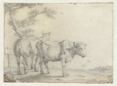 Horse and a Cow by a Tree by Paulus Potter