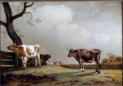 The Meadow by Paulus Potter