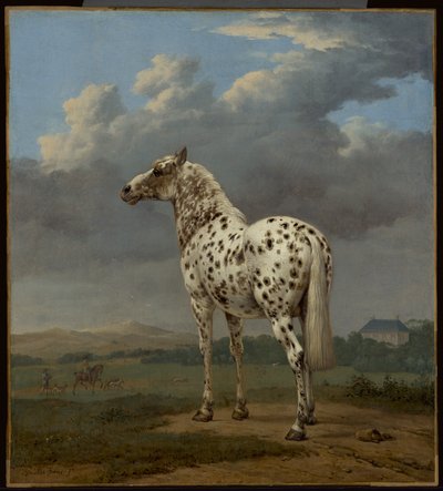 The Piebald Horse by Paulus Potter