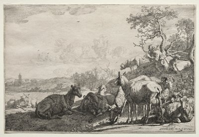 The Shepherd by Paulus Potter