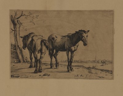 Two Horses by Paulus Potter